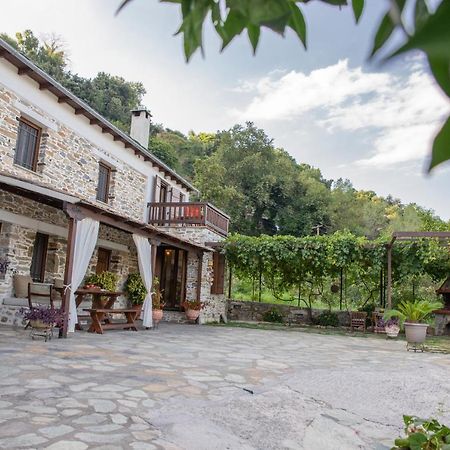 Zoes House Villa Makrirrákhi Dış mekan fotoğraf