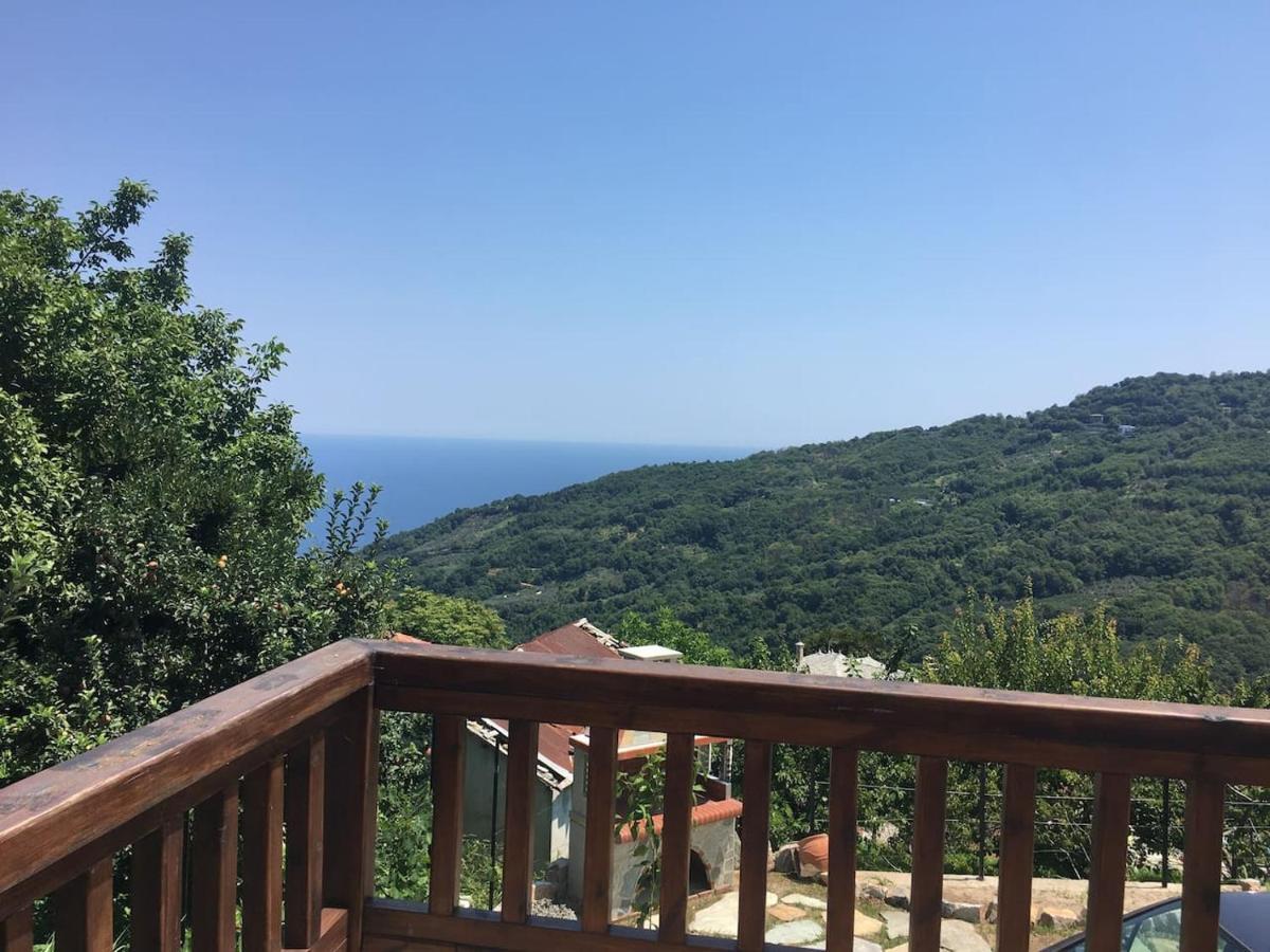 Zoes House Villa Makrirrákhi Dış mekan fotoğraf