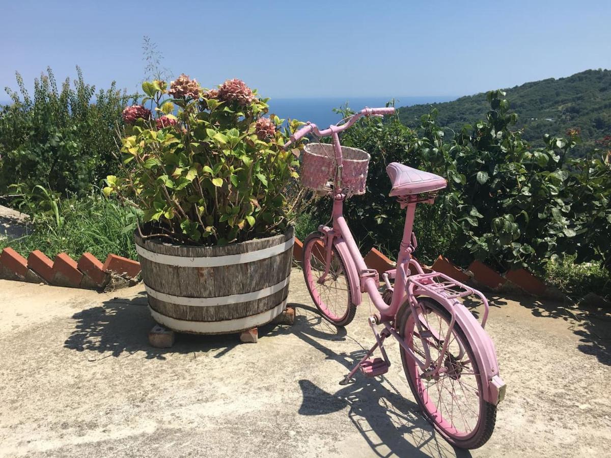 Zoes House Villa Makrirrákhi Dış mekan fotoğraf